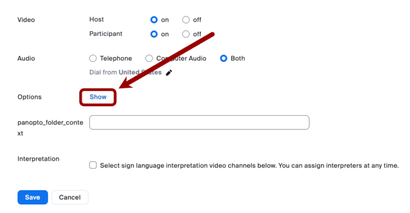 Screenshot of the zoom meeting options button